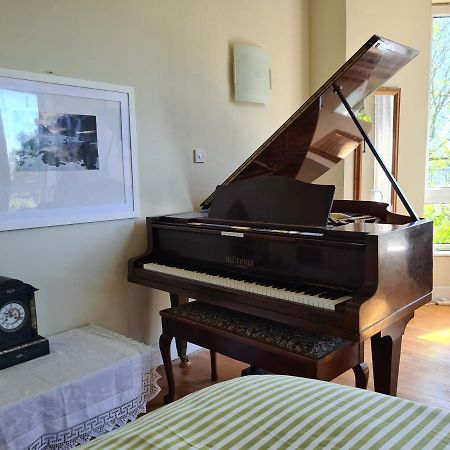 11 Somerville Place East Данди Экстерьер фото